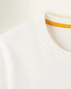 Womens Outdoor Athletics Stripe T-Shirt -Eddie Bauer Store 38030924 CJ2 e