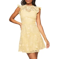 Lipsy Lace Flutter-Sleeve A-Line Dress